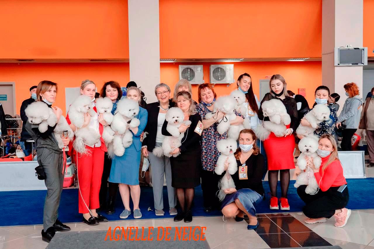 Выставка собак город Казань